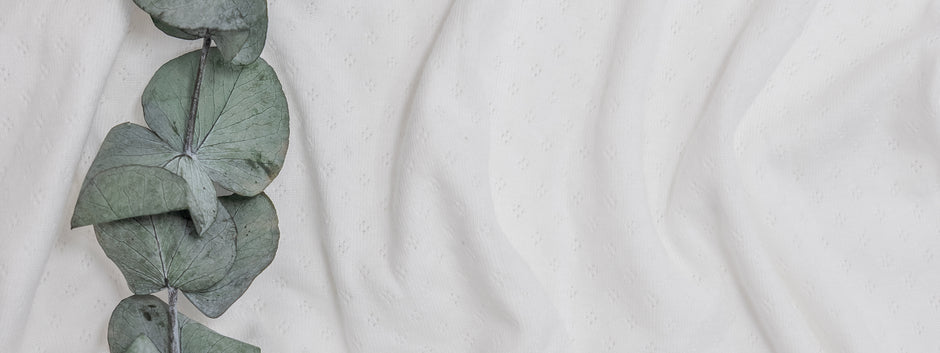 organic cotton pointelle fabric in white showcasing the detailing with an ivy on the left.